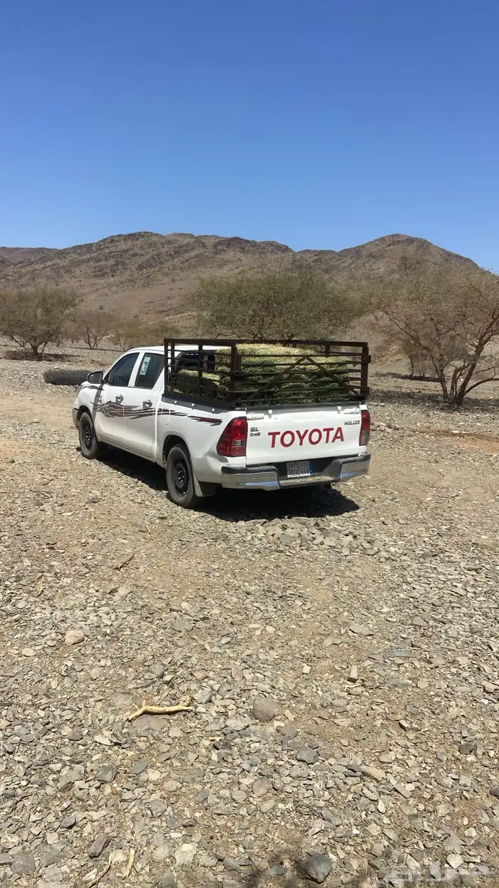 شبك ونيت للبيع 4