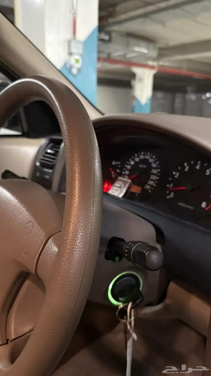 مكسيما مخزنه 8