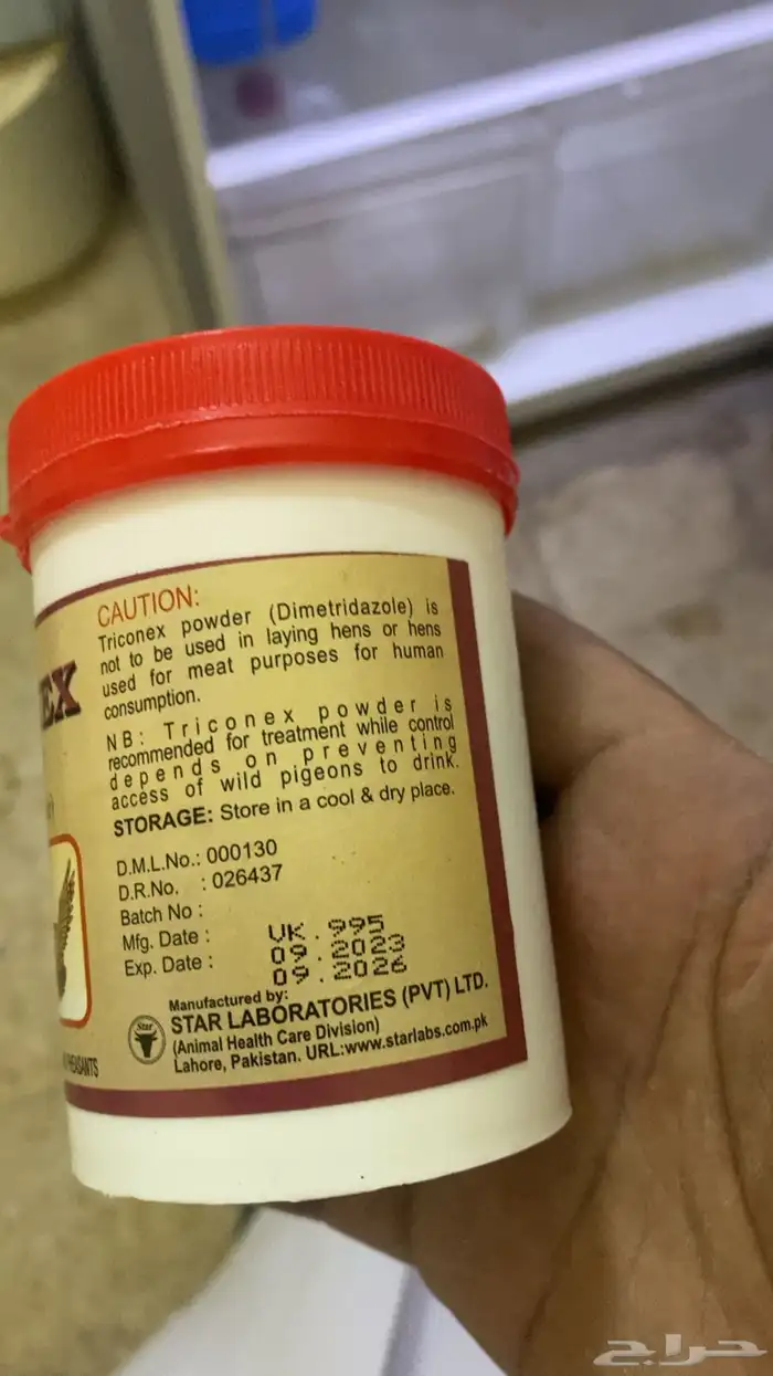 كنكر بكستاني 0