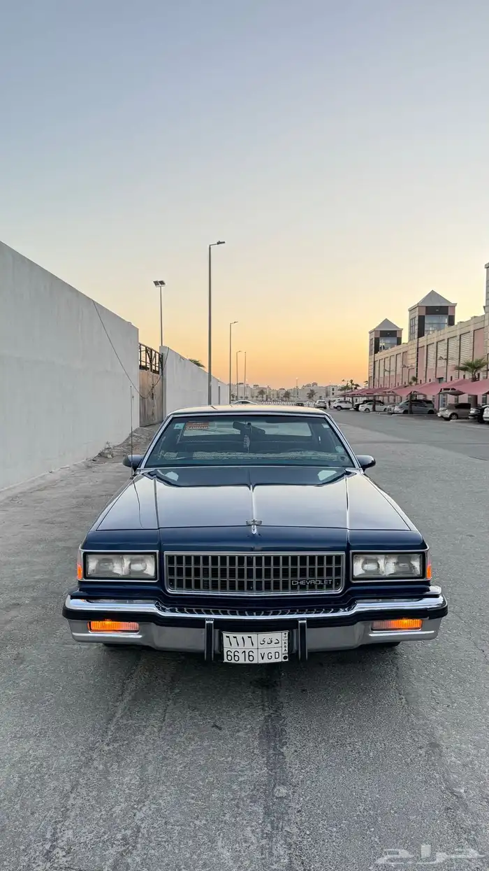 شفر كابرس 1988 2