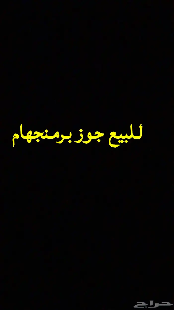 للبيع حمام برمنجهام قلاب 0