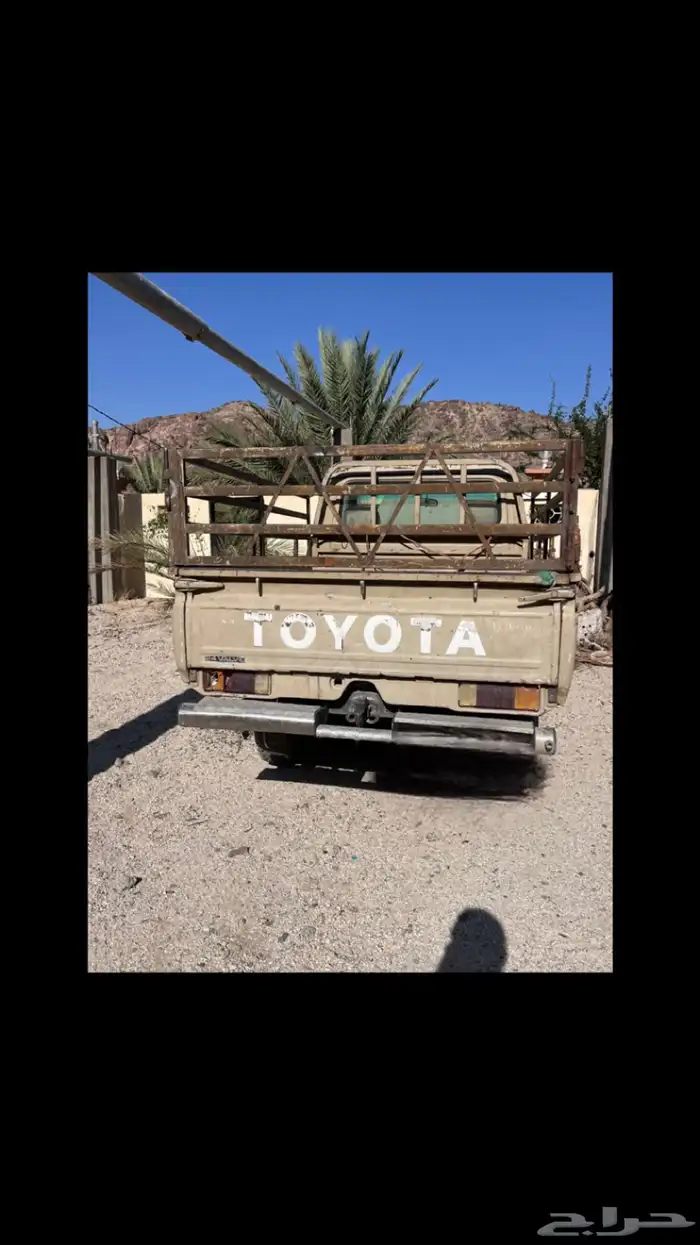 شاص 1987للبيع 0
