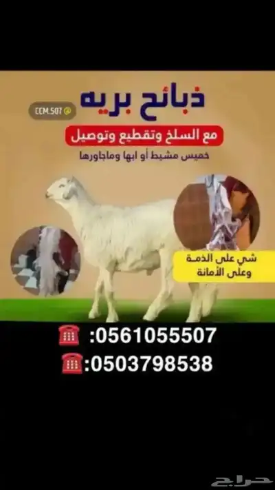 ذبايح خرفان مع خدمه سلخ وتوصيل index