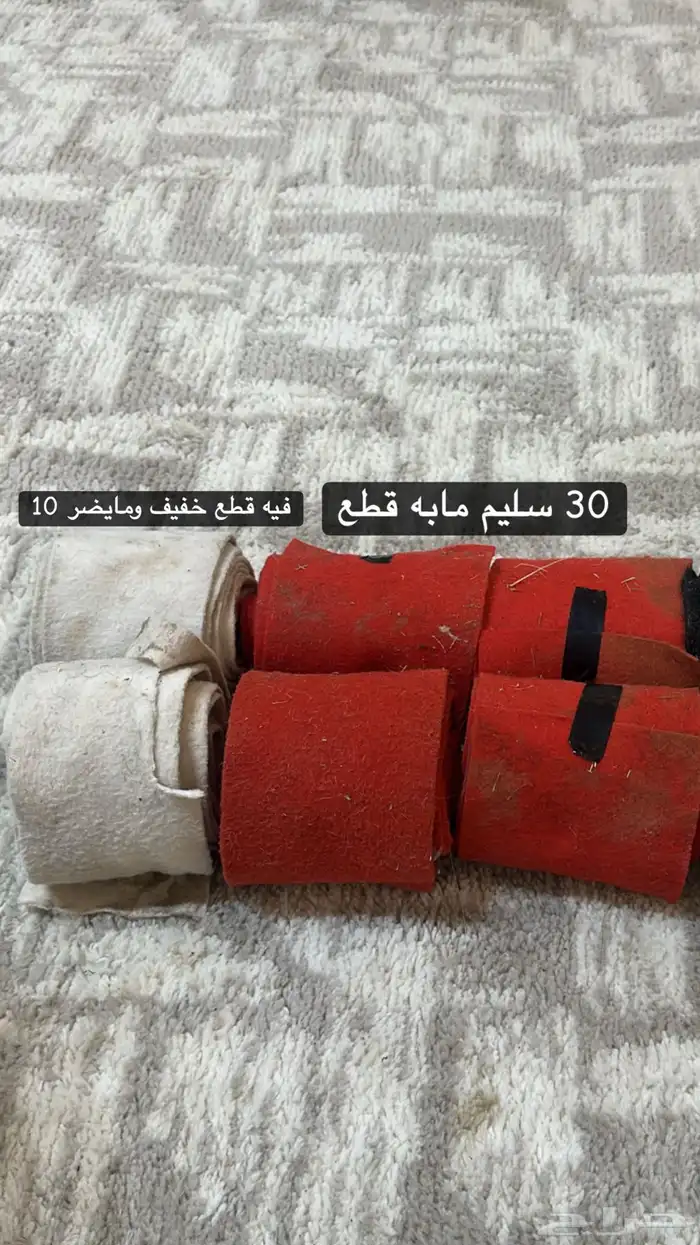 مستلزمات خيل حصان فرس 2
