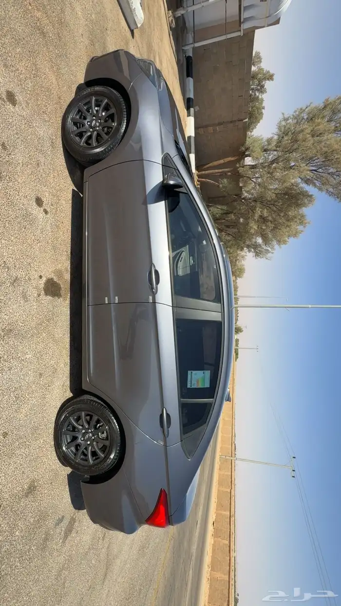 شيري اريزو 5 2