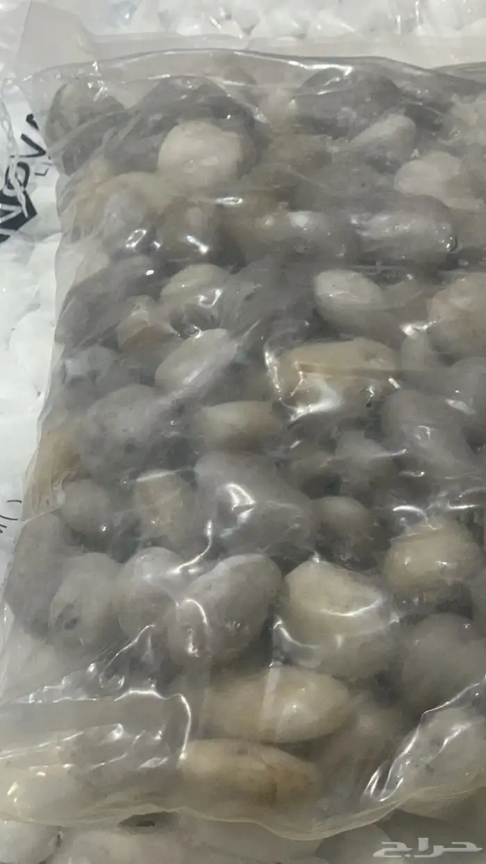 لبيع جميع احجار ازينه 5