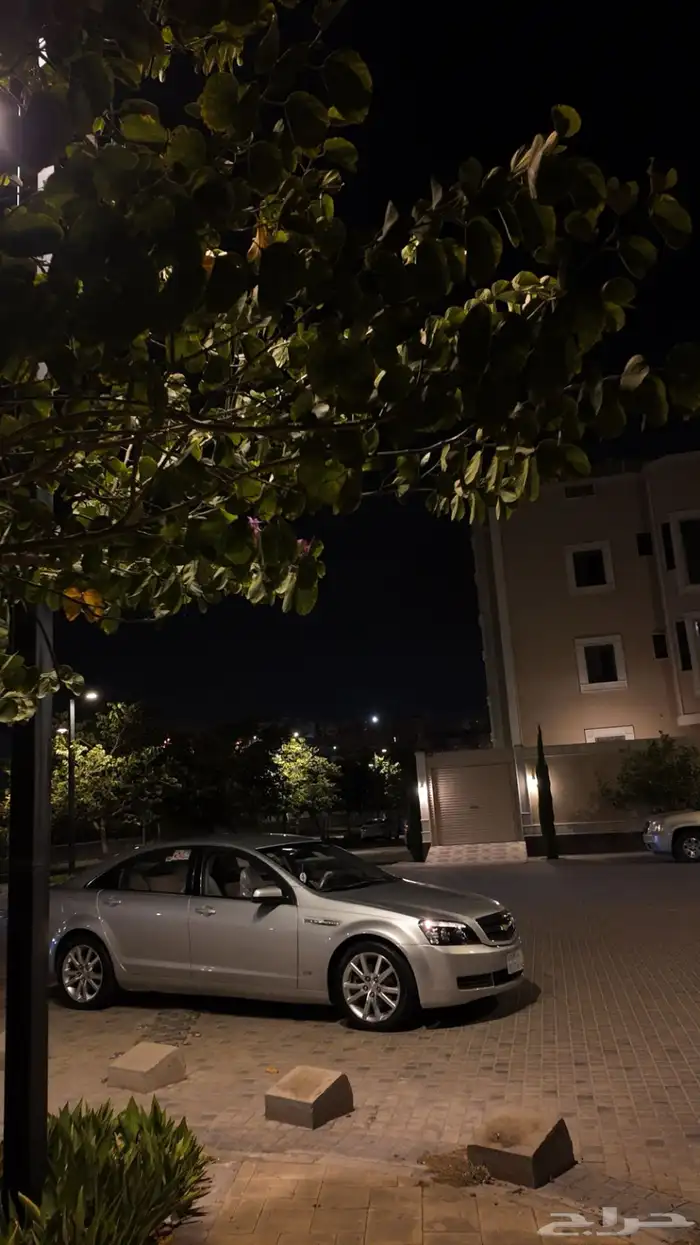 كابرس 2015 4