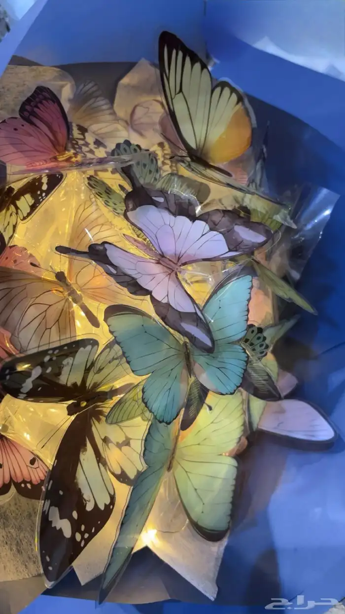 باقه الفراشات للبيع 1