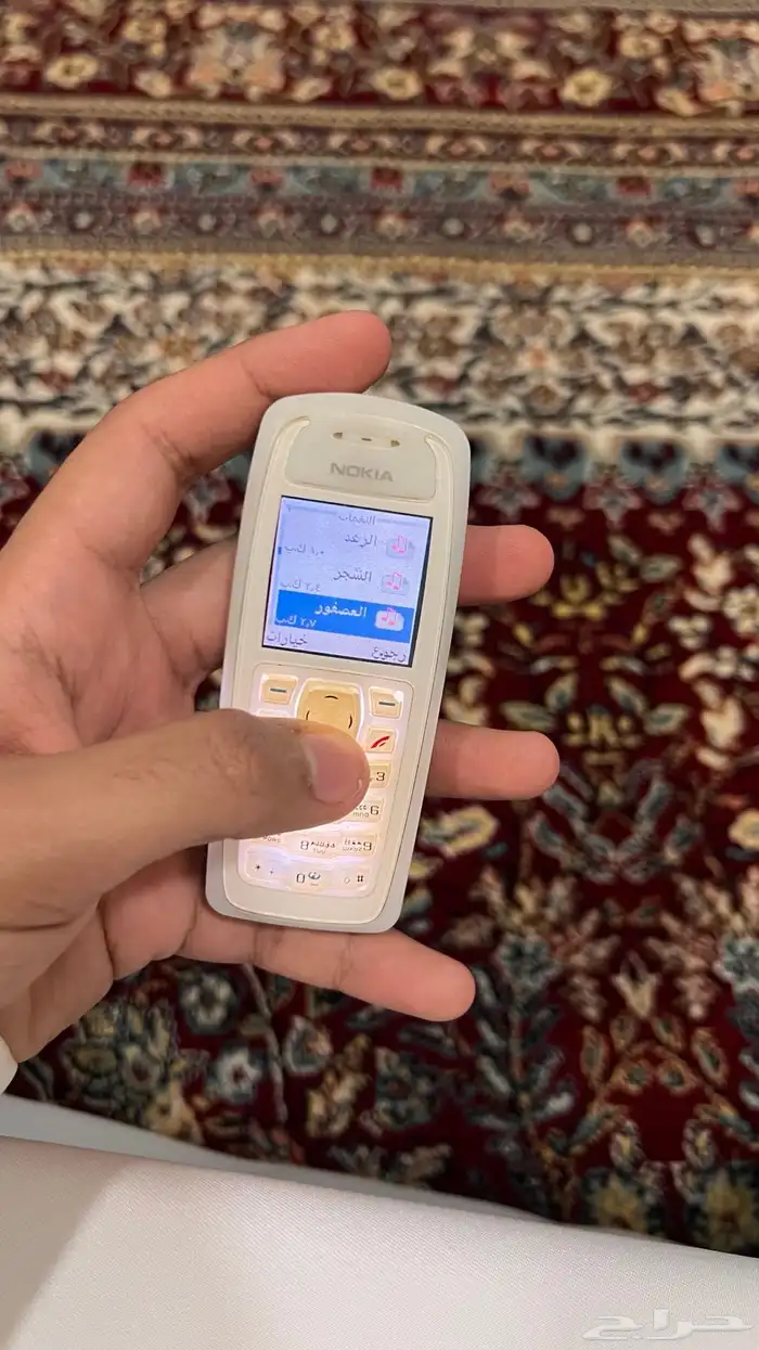برج العرب والساهر 20