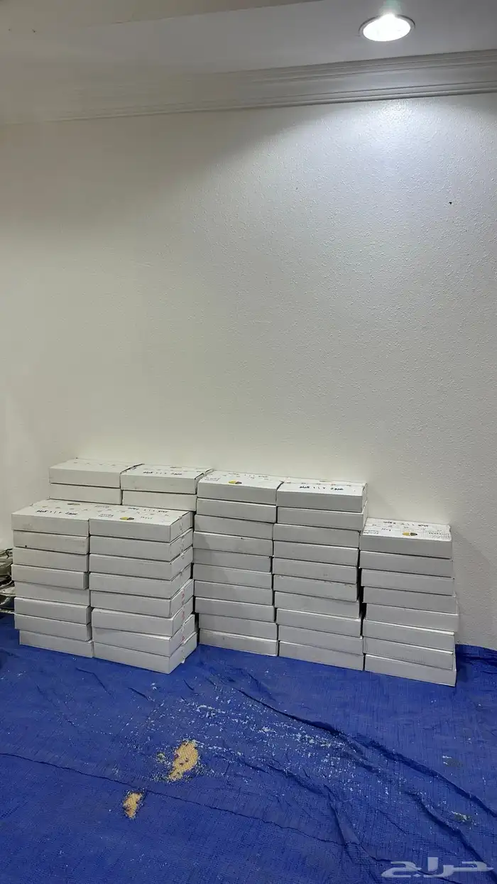 تمر صفري فاخر للبيع 6