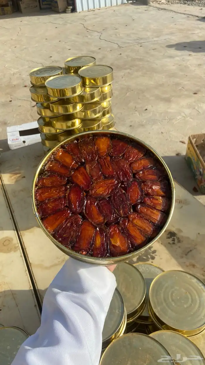 تمر بيشه صفري ملكي 7
