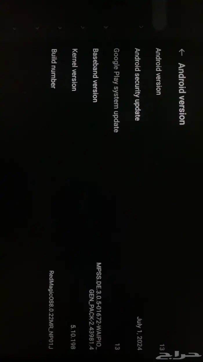 ايباد رد مجك 10