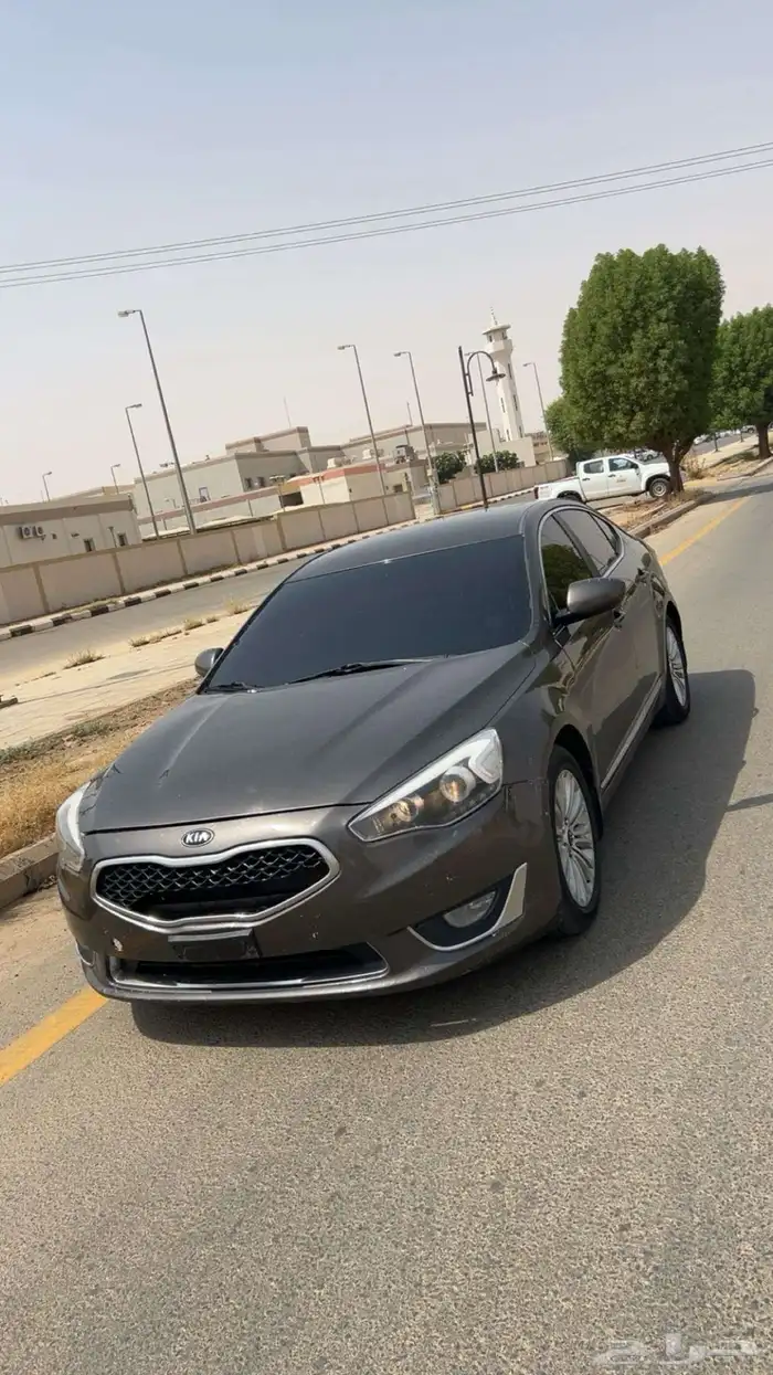 كدينزا2014 0
