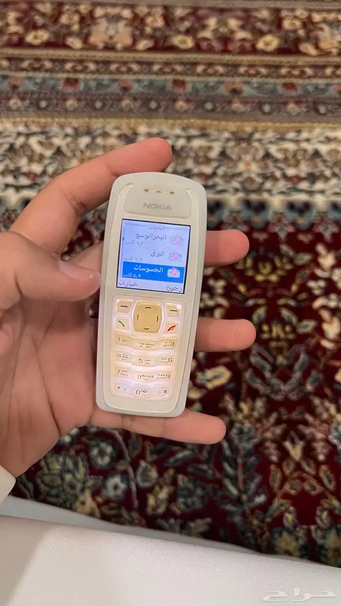 برج العرب والساهر 19