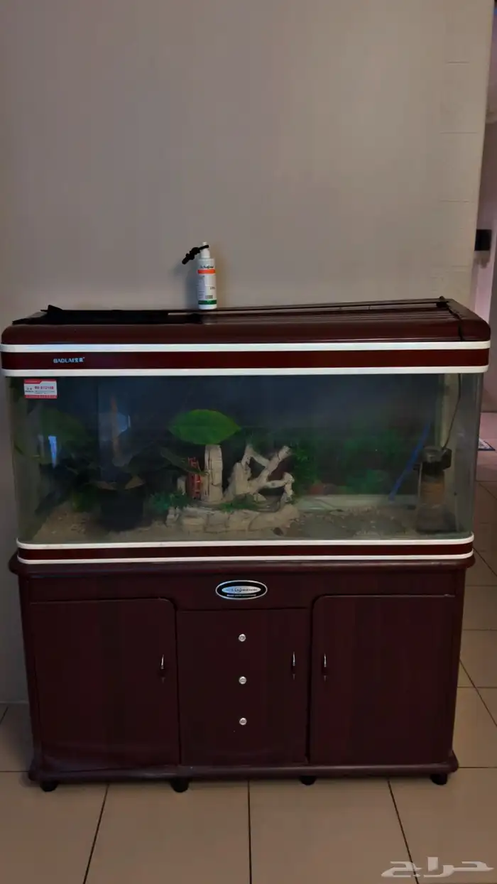حوض سمك 1