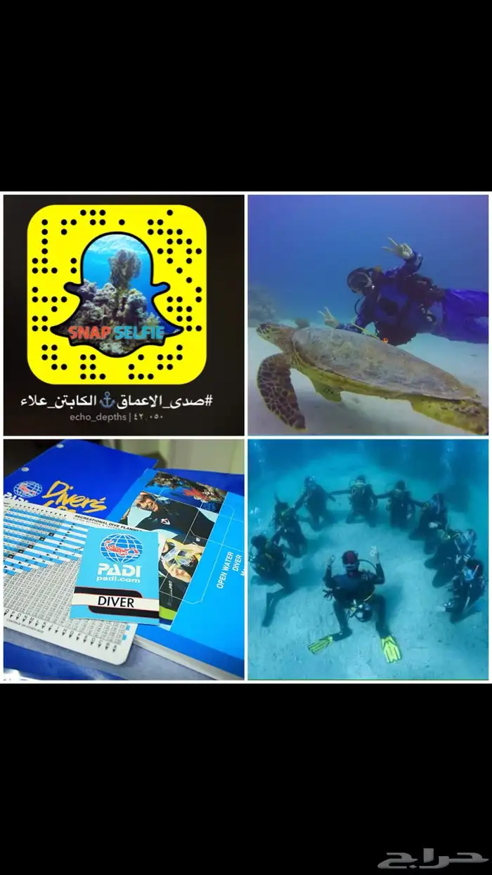 شهادة غوص معتمدة 3