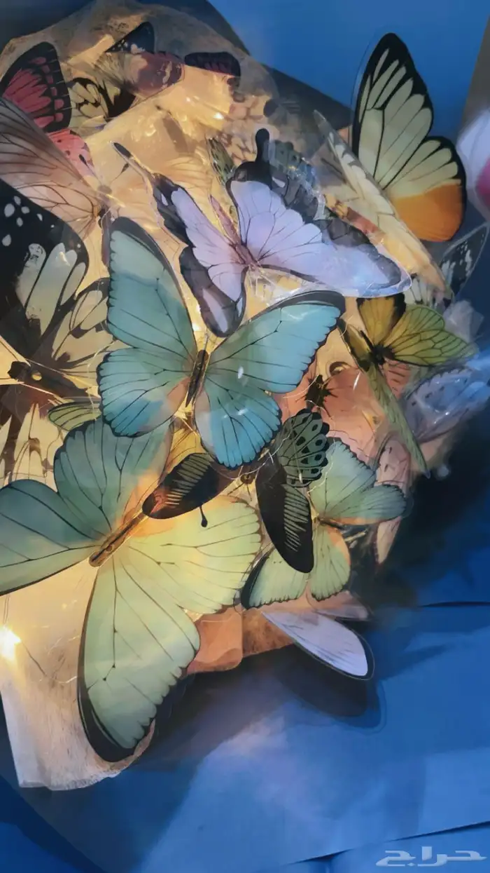 باقه الفراشات للبيع 0