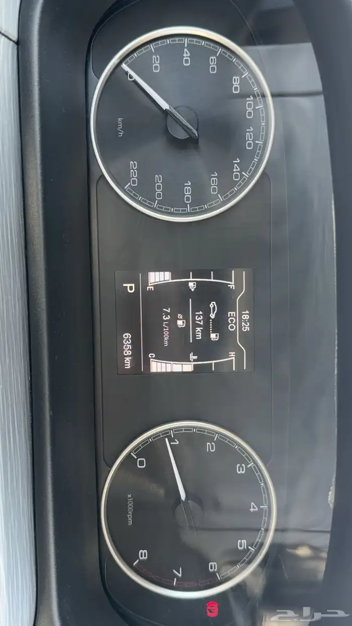 شيري اريزو 5 23