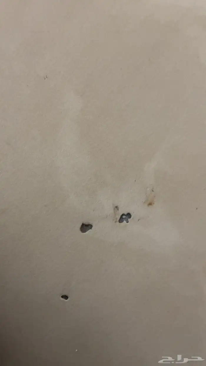 كنب نظيف للبيع 1