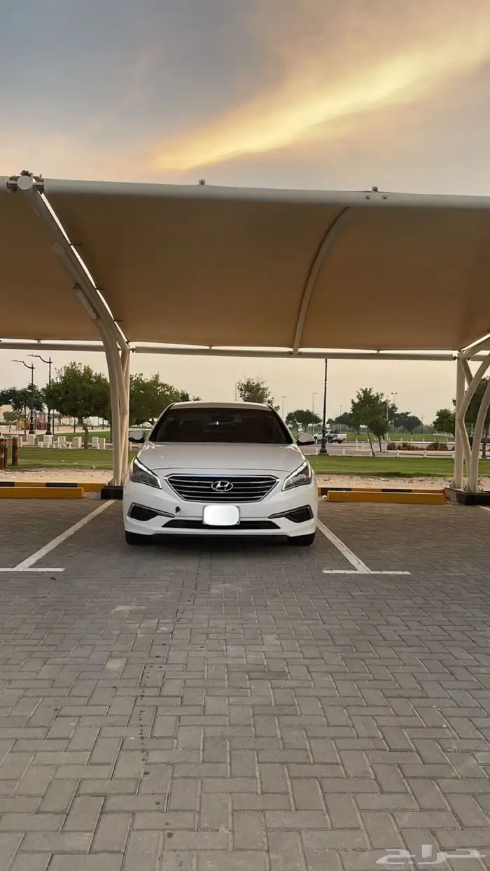 سوناتا 2018 10