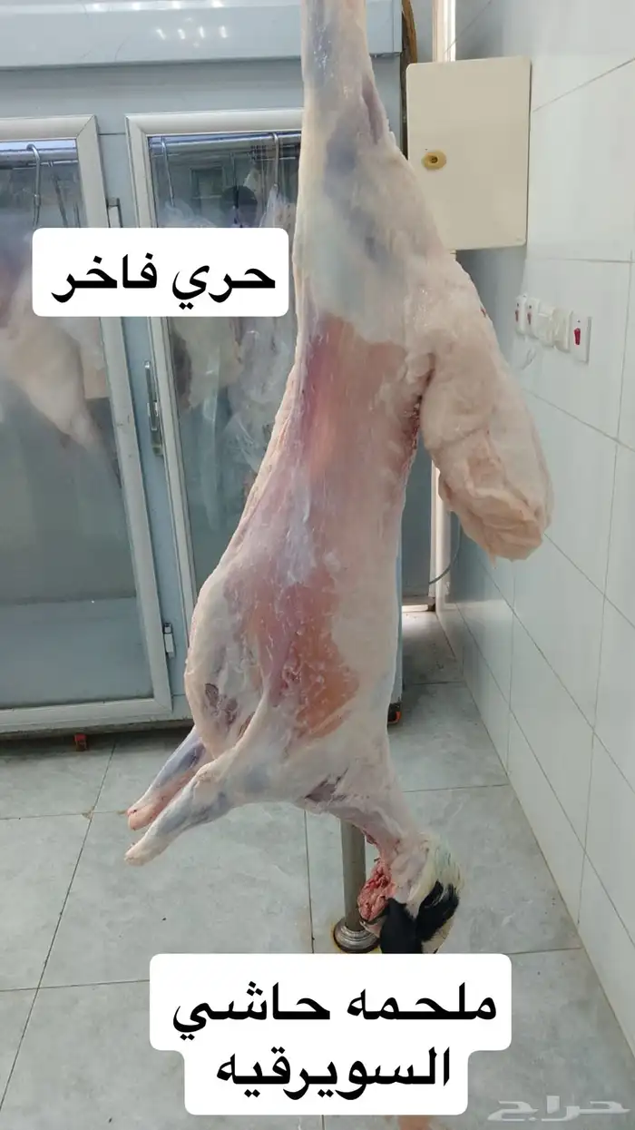 ملحمه حاشي السويرقيه جده حي الفروسيه 0