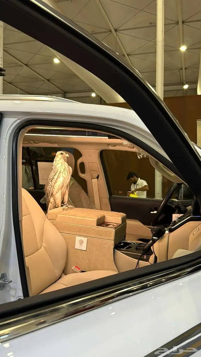 احتاج سيارة مسقطة صالحة الاستخدام 0