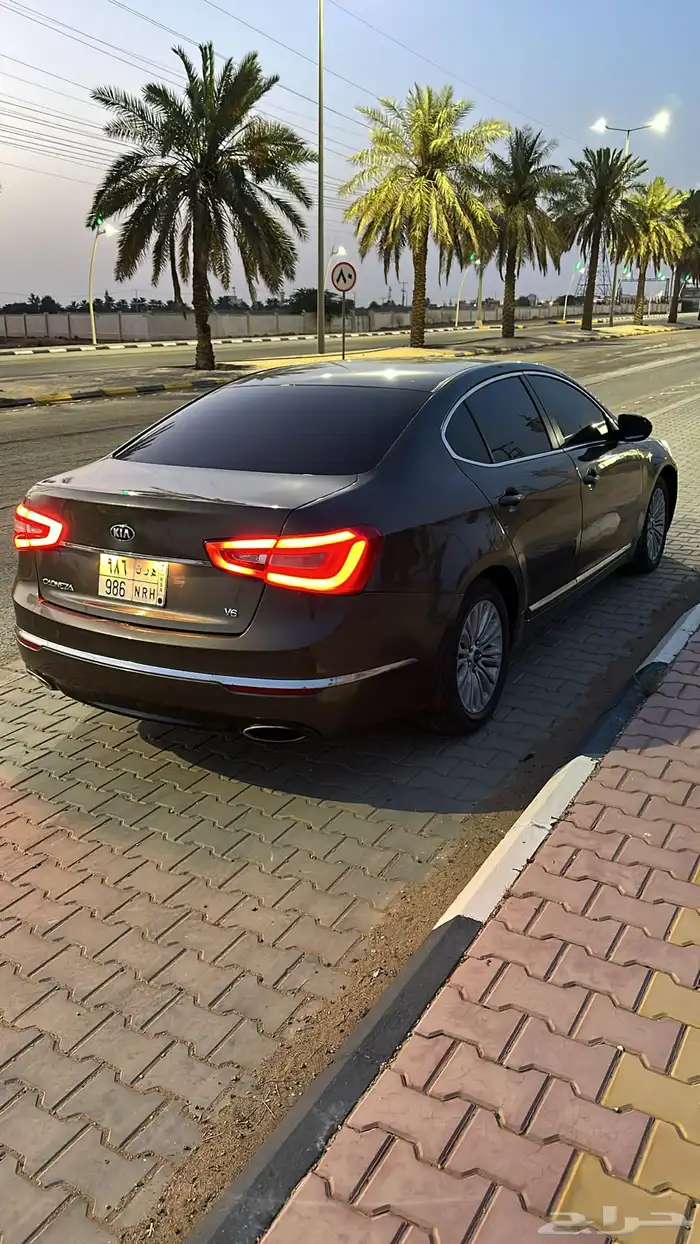 كدينزا2014 3