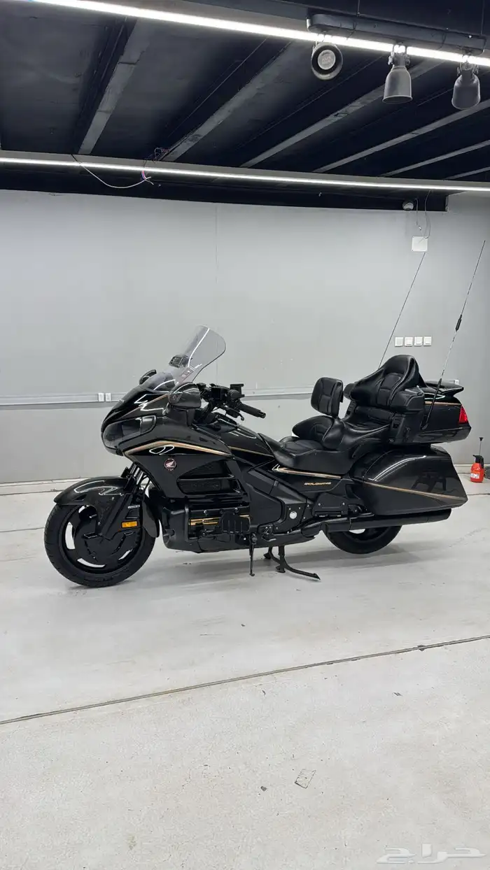 قولد وينق موكا 2016 7