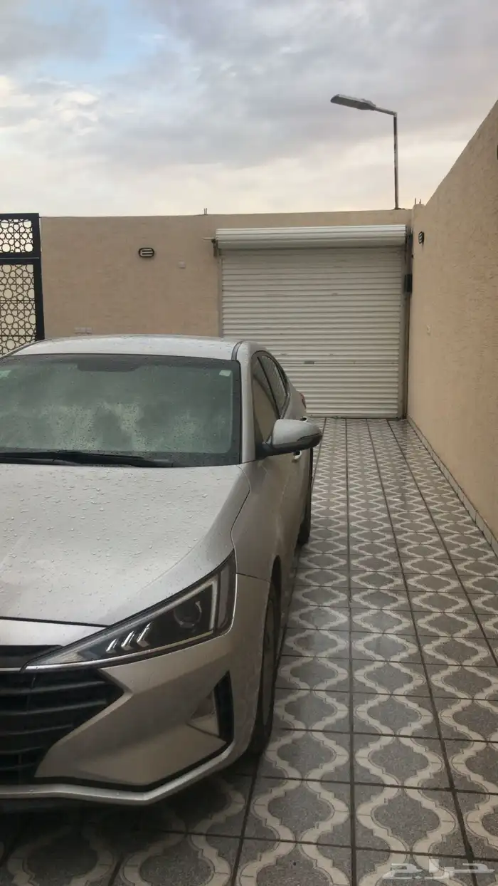 النتراء 2020. الممشي 158825. نصف فل كأمره وجنوط حساسات 1