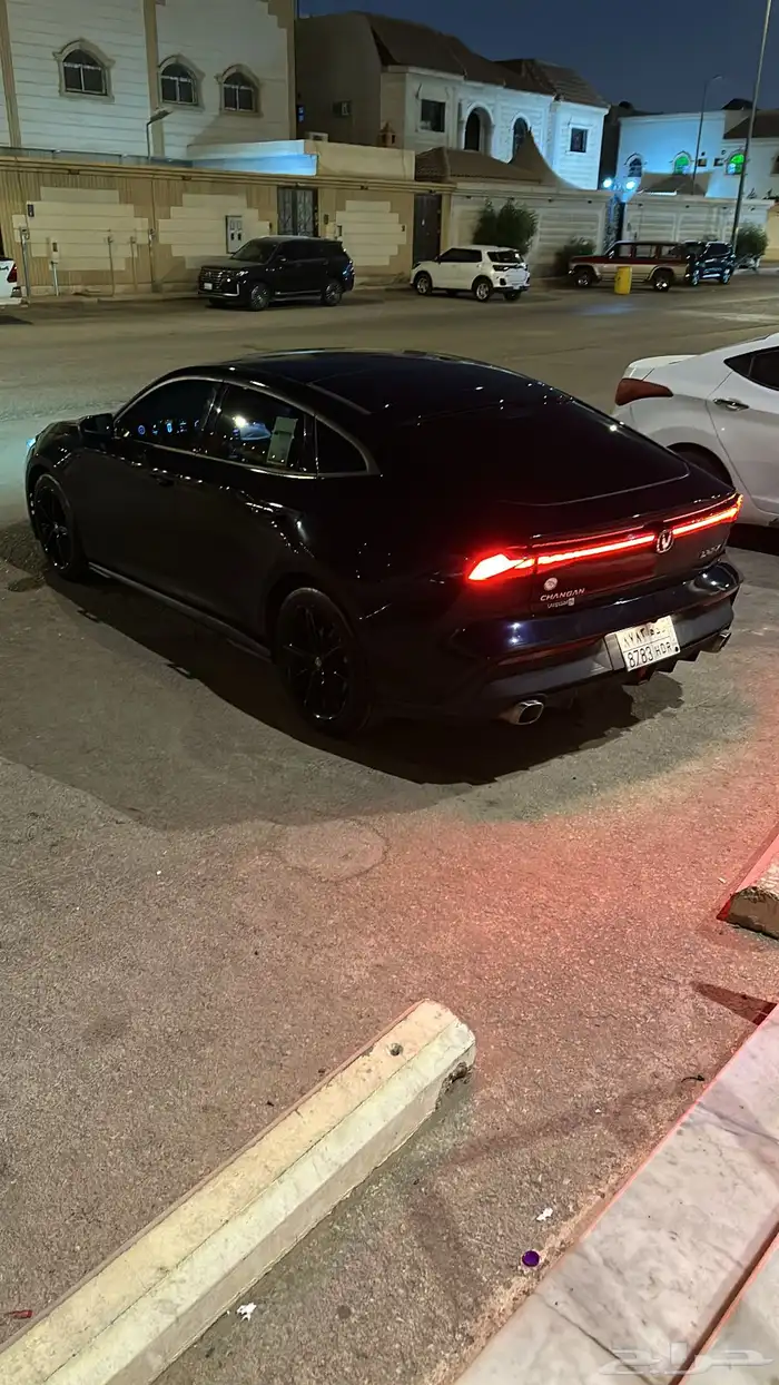 شانجان يوني في 3
