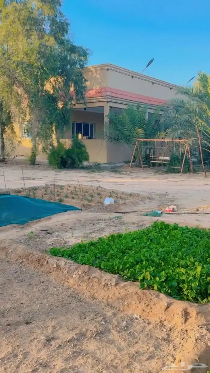 فرصة استثمارية  مزرعة للبيع متكاملة بصك شرعي في حفر الباطن 60