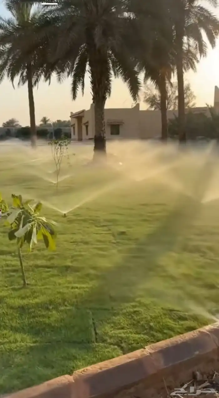 تنسيق حدائق وتيل طبيعي ولا صناعي والحوض زراعيه والنباتات 8