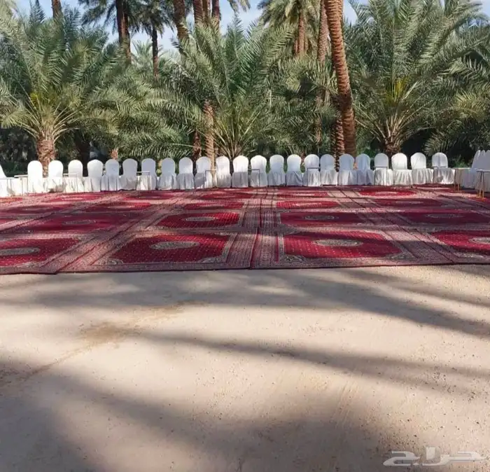 حفلات مناسبات قهوجيين صبابين رجال ونساء كراسي طاولات 1