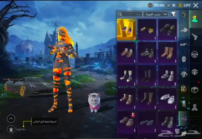 حساب ببجي 10