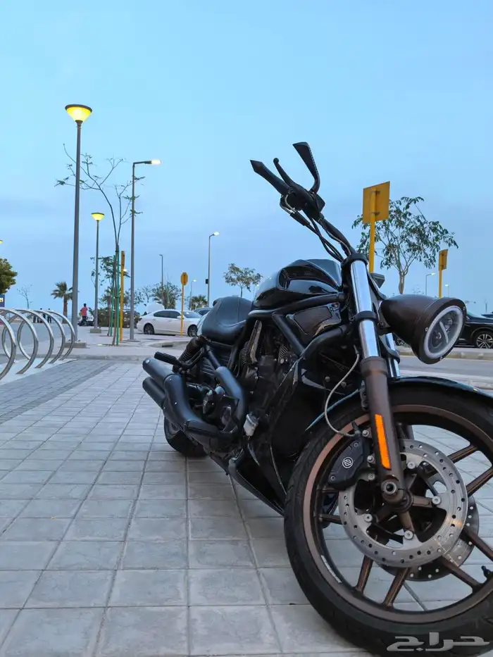 Harley Night Rod 2012 Full Custom 18