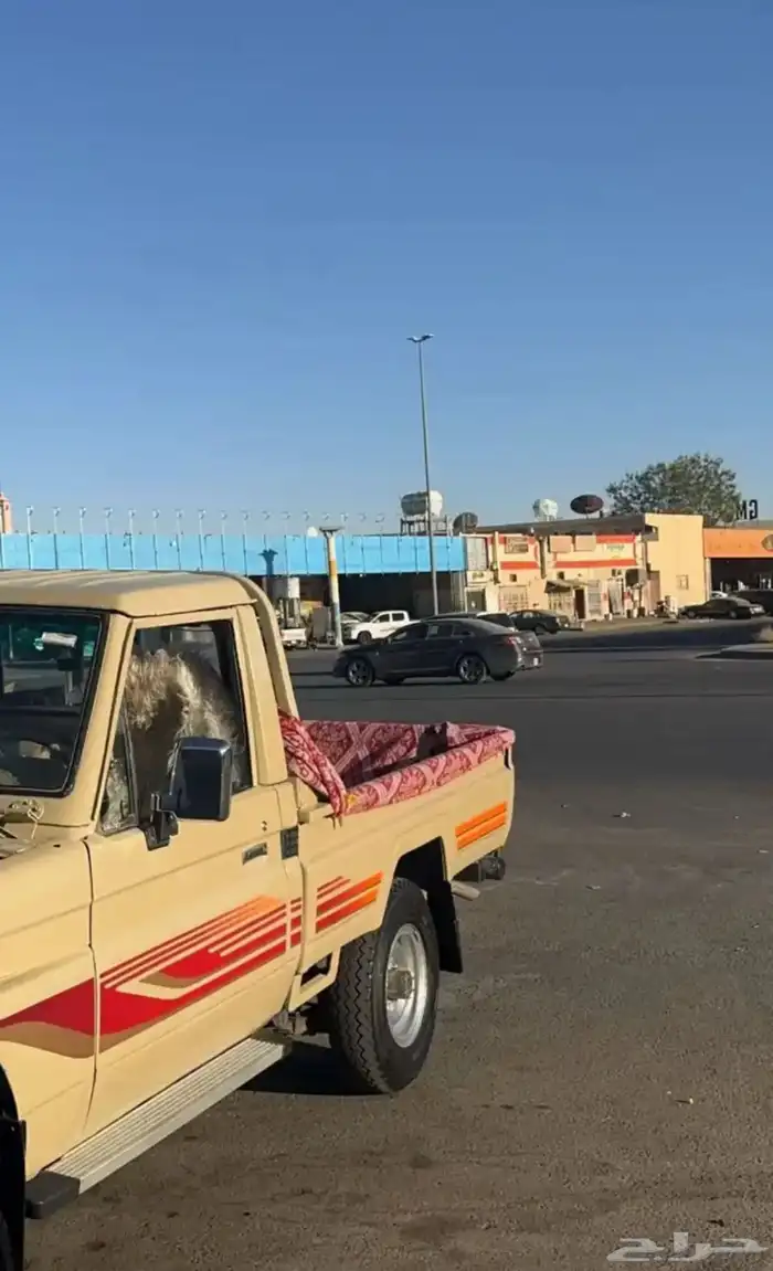 شاص 90 للبيع 4