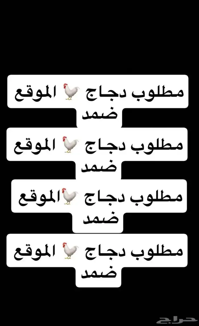 مطلوب دجاج   زينه الموقع ضمد يكون في توصيل إلى ضمد 2