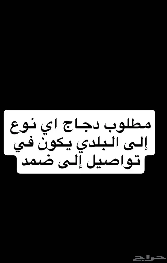 مطلوب دجاج   زينه الموقع ضمد يكون في توصيل إلى ضمد 1