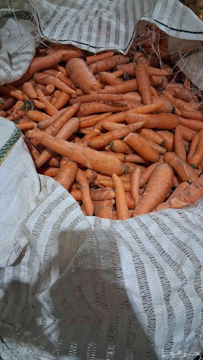 علف جزر علف 1