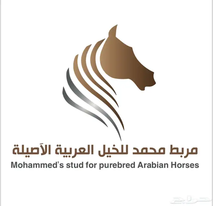 ايواء خيل 0
