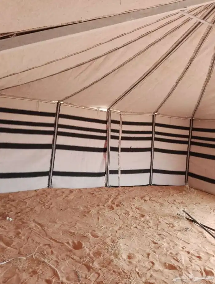 لبيع بيوت الشعر الابيض درجه اولى نسبة الشعر 80 100 16