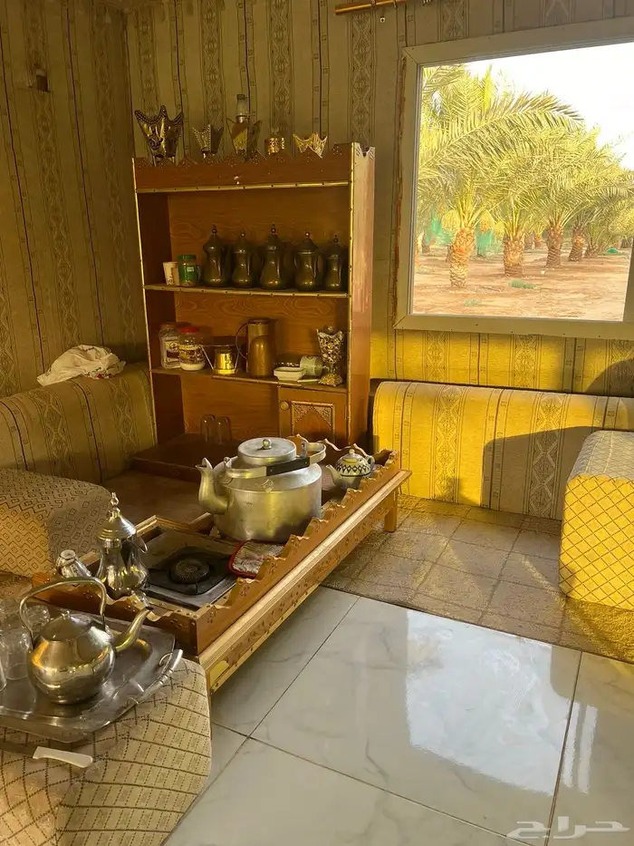 تأجير 6