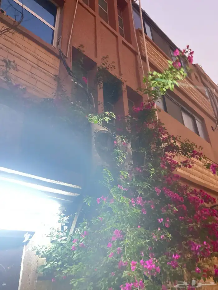 مكيف نضيف حق الوالد الله يرحمه والله ما بعته إلى محتاج الفل 0