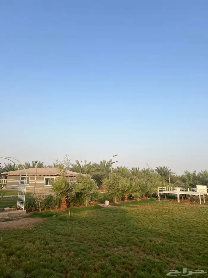 تأجير 2
