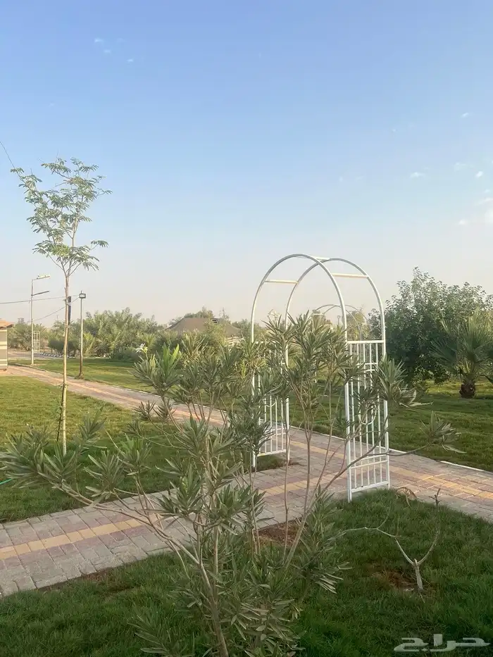 تأجير 11