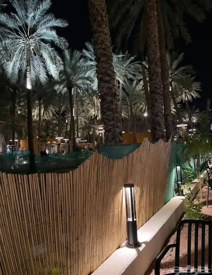 جلسات بامبو ساتر خيزران 21