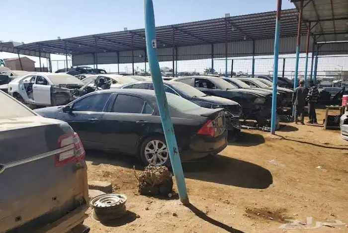 مندوب تشاليح 1