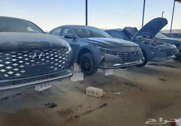 مندوب تشاليح 0
