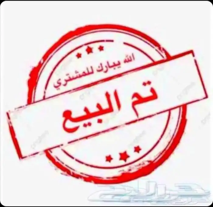 ديك سندي تم البيع 0