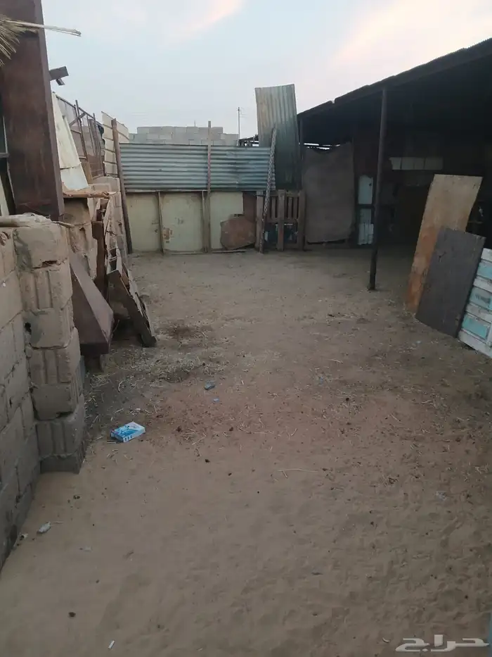 حوش غنم الاجار صناعيه مدخل لحاله غرف سعر مناسب تواصل علي جوا 4